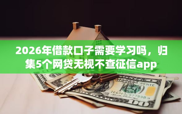 2026年借款口子需要学习吗，归集5个网贷无视不查征信app