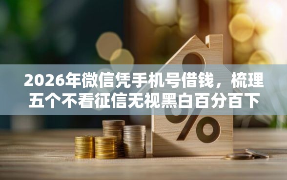 2026年微信凭手机号借钱，梳理五个不看征信无视黑白百分百下款软件
