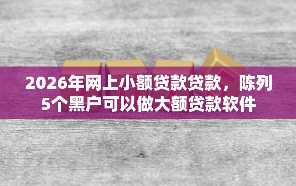2026年网上小额贷款贷款，陈列5个黑户可以做大额贷款软件