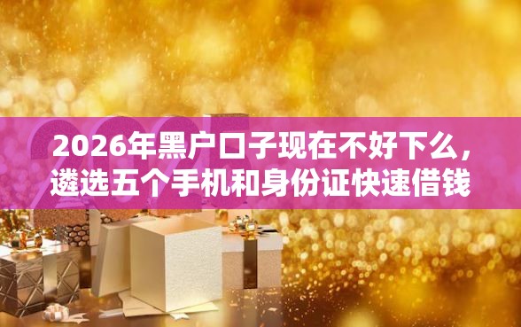 2026年黑户口子现在不好下么，遴选五个手机和身份证快速借钱平台