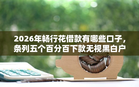 2026年畅行花借款有哪些口子，条列五个百分百下款无视黑白户网贷软件