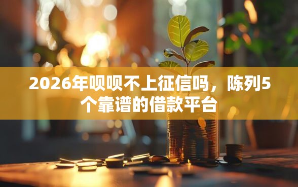 2026年呗呗不上征信吗，陈列5个靠谱的借款平台
