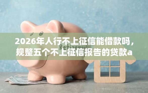 2026年人行不上征信能借款吗，规整五个不上征信报告的贷款app