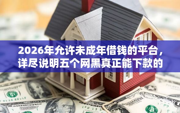 2026年允许未成年借钱的平台，详尽说明五个网黑真正能下款的软件