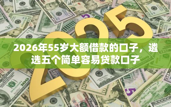 2026年55岁大额借款的口子，遴选五个简单容易贷款口子