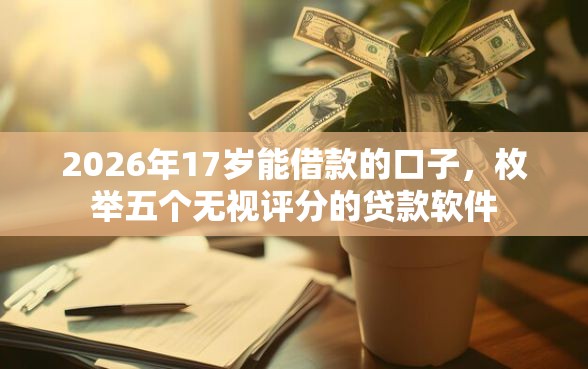2026年17岁能借款的口子，枚举五个无视评分的贷款软件