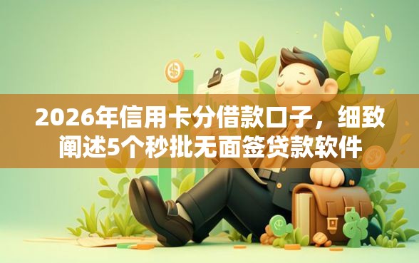 2026年信用卡分借款口子，细致阐述5个秒批无面签贷款软件