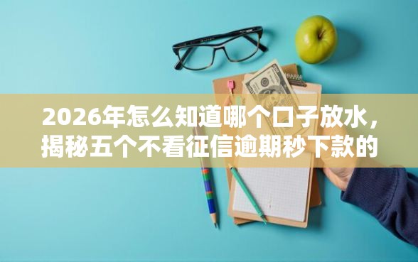 2026年怎么知道哪个口子放水，揭秘五个不看征信逾期秒下款的贷款
