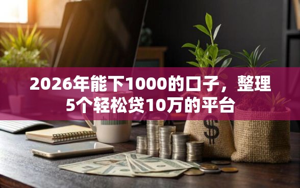 2026年能下1000的口子，整理5个轻松贷10万的平台
