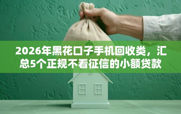 2026年黑花口子手机回收类，汇总5个正规不看征信的小额贷款平台