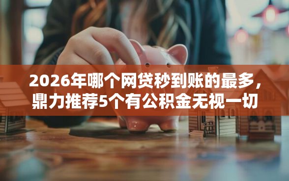 2026年哪个网贷秒到账的最多，鼎力推荐5个有公积金无视一切的口子