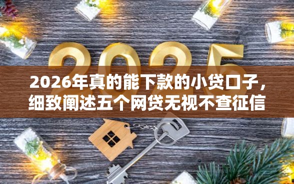 2026年真的能下款的小贷口子,细致阐述五个网贷无视不查征信口子 2026年真的能下款的小贷口子,细致阐述五个网贷无视不查征信口子