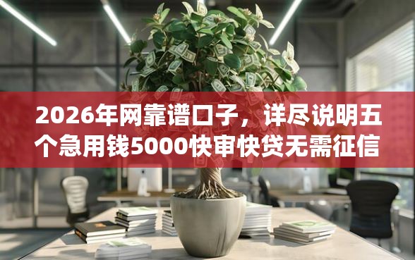 2026年网靠谱口子，详尽说明五个急用钱5000快审快贷无需征信app