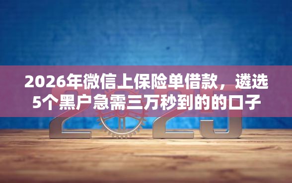 2026年微信上保险单借款，遴选5个黑户急需三万秒到的的口子