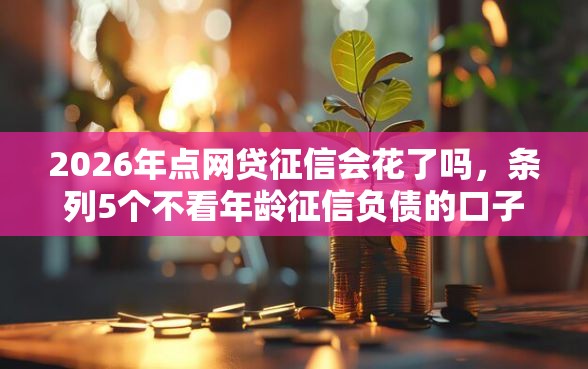 2026年点网贷征信会花了吗，条列5个不看年龄征信负债的口子