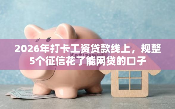 2026年打卡工资贷款线上，规整5个征信花了能网贷的口子