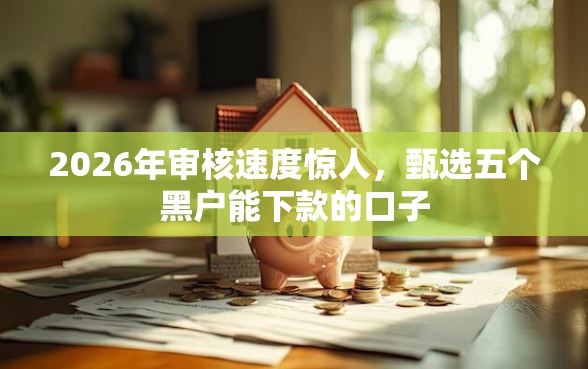 2026年审核速度惊人，甄选五个黑户能下款的口子