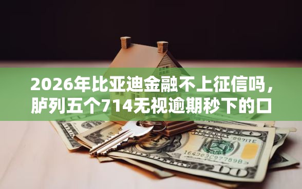 2026年比亚迪金融不上征信吗，胪列五个714无视逾期秒下的口子