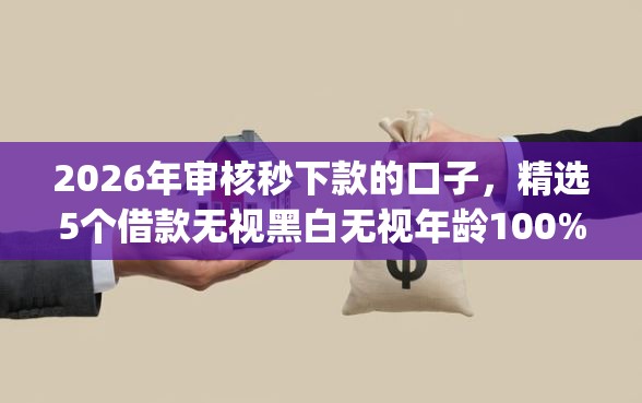 2026年审核秒下款的口子，精选5个借款无视黑白无视年龄100%秒过app