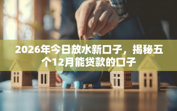 2026年今日放水新口子，揭秘五个12月能贷款的口子