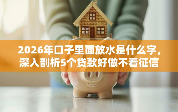 2026年口子里面放水是什么字，深入剖析5个贷款好做不看征信的平台