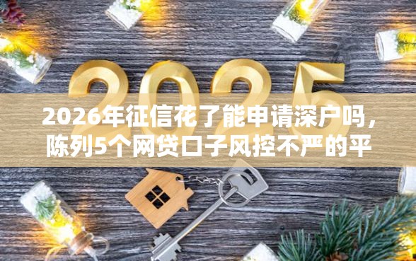 2026年征信花了能申请深户吗，陈列5个网贷口子风控不严的平台
