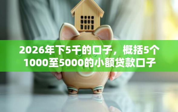 2026年下5千的口子，概括5个1000至5000的小额贷款口子
