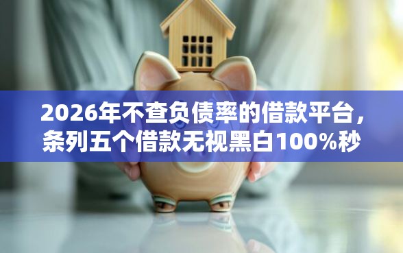 2026年不查负债率的借款平台，条列五个借款无视黑白100%秒过