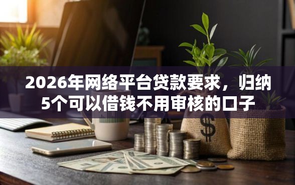 2026年网络平台贷款要求，归纳5个可以借钱不用审核的口子