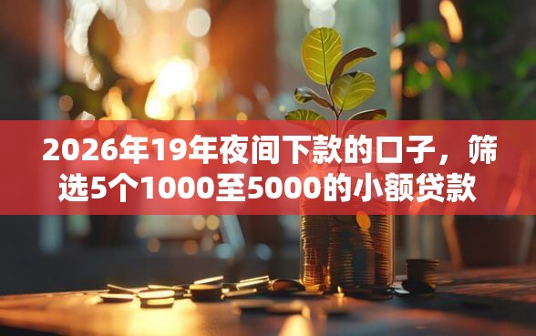 2026年19年夜间下款的口子,筛选5个1000至5000的小额贷款口子 2026年19年夜间下款的口子,筛选5个1000至5000的小额贷款口子