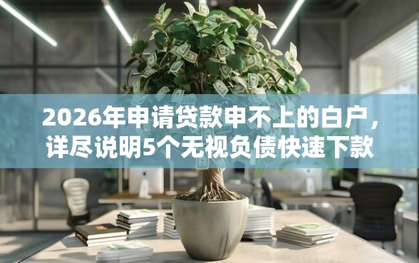 2026年申请贷款申不上的白户，详尽说明5个无视负债快速下款长期网贷的口子