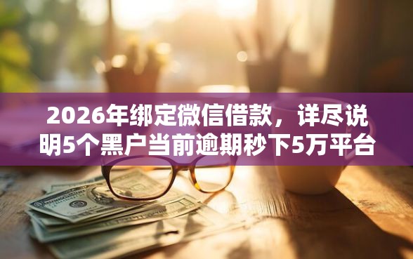 2026年绑定微信借款，详尽说明5个黑户当前逾期秒下5万平台