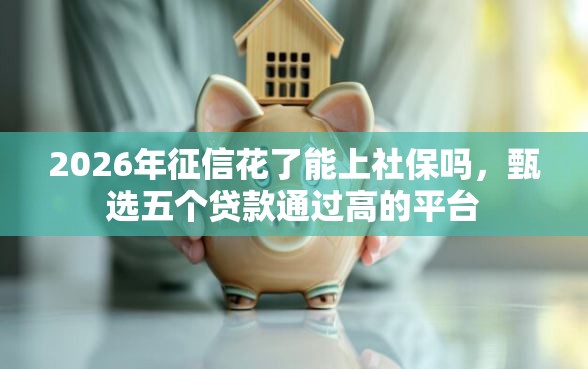 2026年征信花了能上社保吗，甄选五个贷款通过高的平台