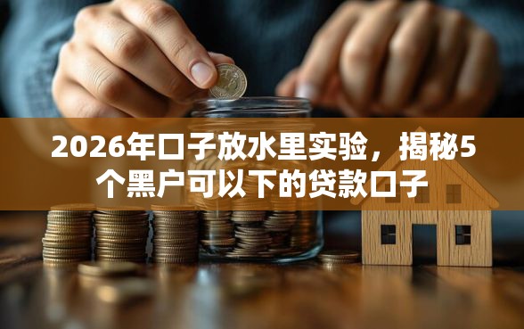2026年口子放水里实验，揭秘5个黑户可以下的贷款口子