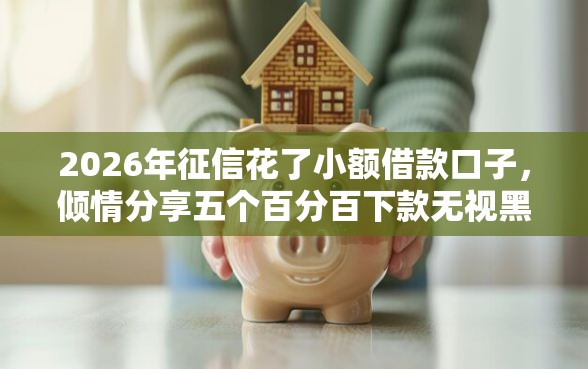 2026年征信花了小额借款口子，倾情分享五个百分百下款无视黑白户口子