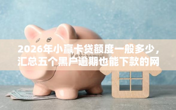 2026年小赢卡贷额度一般多少，汇总五个黑户逾期也能下款的网贷