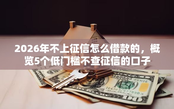 2026年不上征信怎么借款的，概览5个低门槛不查征信的口子