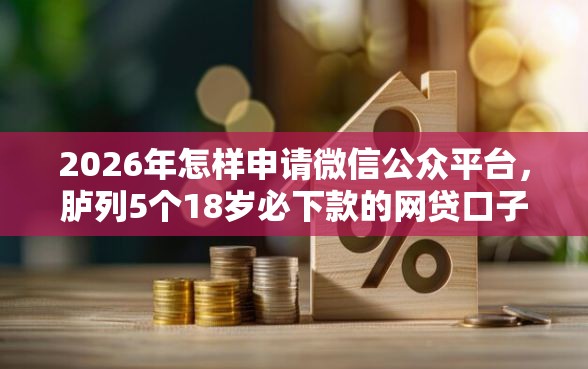 2026年怎样申请微信公众平台，胪列5个18岁必下款的网贷口子