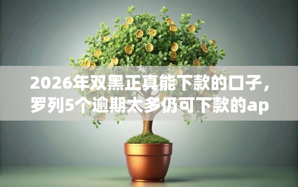 2026年双黑正真能下款的口子，罗列5个逾期太多仍可下款的app