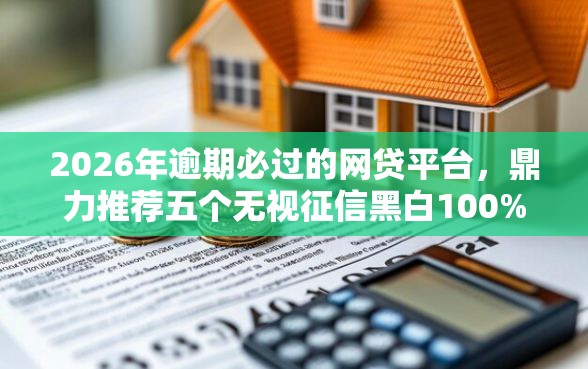 2026年逾期必过的网贷平台，鼎力推荐五个无视征信黑白100%秒下口子