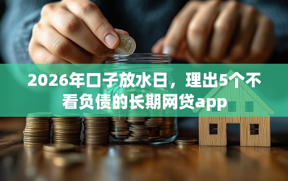 2026年口子放水日，理出5个不看负债的长期网贷app