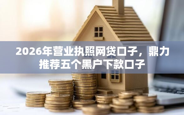 2026年营业执照网贷口子，鼎力推荐五个黑户下款口子