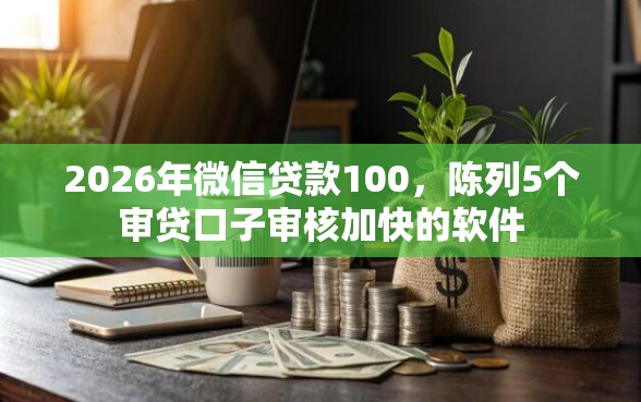 2026年微信贷款100，陈列5个审贷口子审核加快的软件