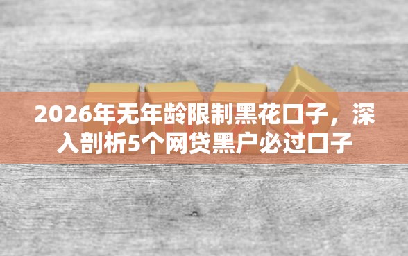 2026年无年龄限制黑花口子，深入剖析5个网贷黑户必过口子
