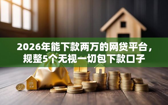 2026年能下款两万的网贷平台，规整5个无视一切包下款口子