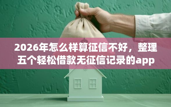 2026年怎么样算征信不好，整理五个轻松借款无征信记录的app