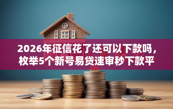 2026年征信花了还可以下款吗，枚举5个新号易贷速审秒下款平台