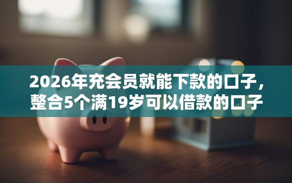 2026年充会员就能下款的口子，整合5个满19岁可以借款的口子