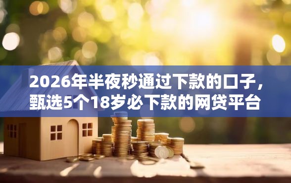 2026年半夜秒通过下款的口子，甄选5个18岁必下款的网贷平台