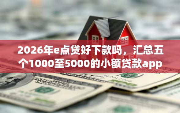 2026年e点贷好下款吗，汇总五个1000至5000的小额贷款app